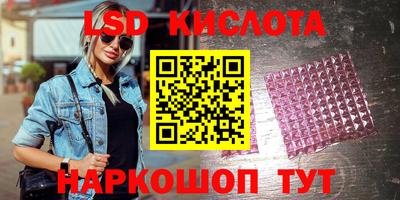 a pvp Кингисепп