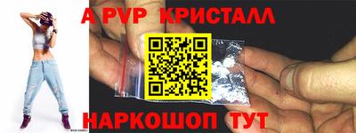 a pvp Кингисепп