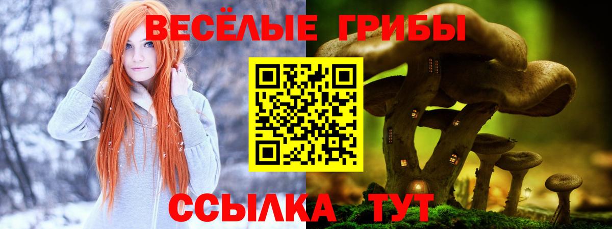 Галлюциногенные грибы GOLDEN TEACHER  Тобольск 